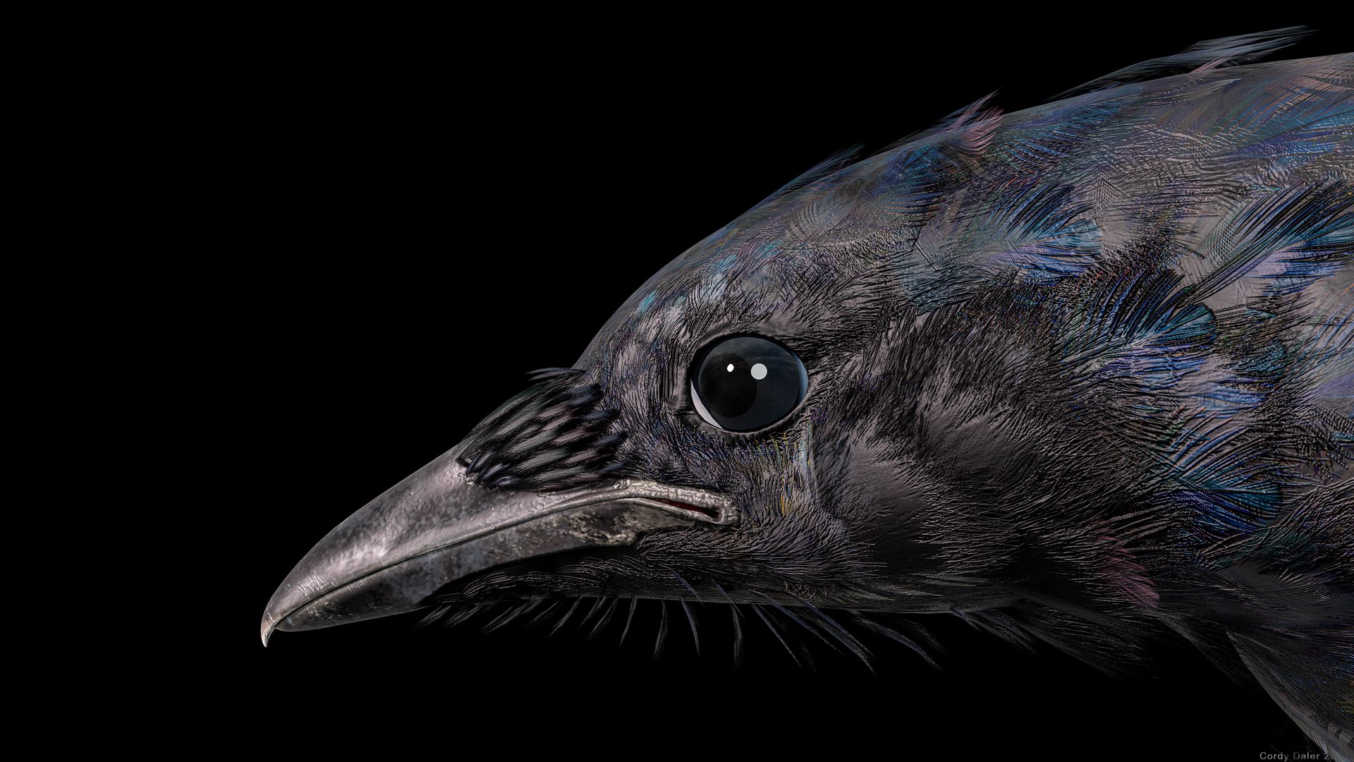 3D model Eurasian Magpie Posed 8K PBR https://p.turbosquid.com/ts-thumb/Oa/UdjSMl/uK/r_viewport_032/png/1762622832/1920x1080/fit_q87/40ff40ba855bac3c82b5d1cc55b6c09a39aac1ff/r_viewport_032.jpg