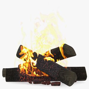 Bonfire Burning