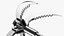 Folding Grappling Hook with Ropes Collection
