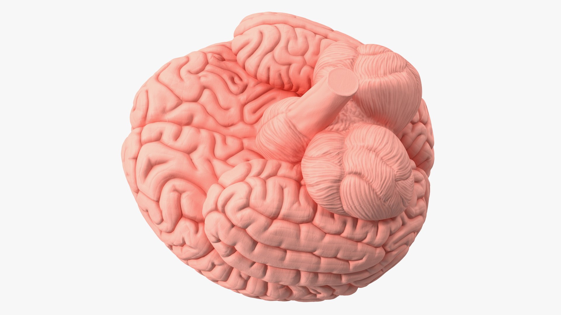 Human Brain With Implanted Microchip 3D Model - TurboSquid 2262580