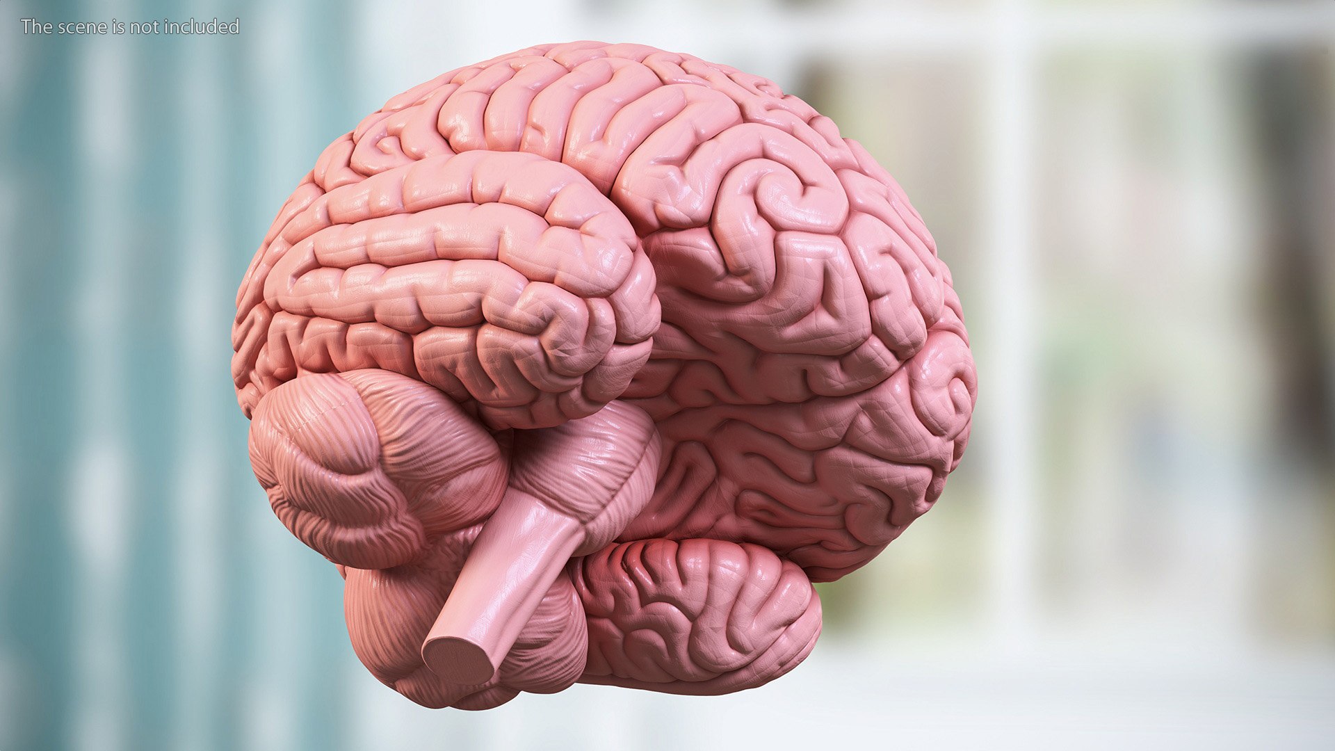 Human Brain With Implanted Microchip 3D Model - TurboSquid 2262580