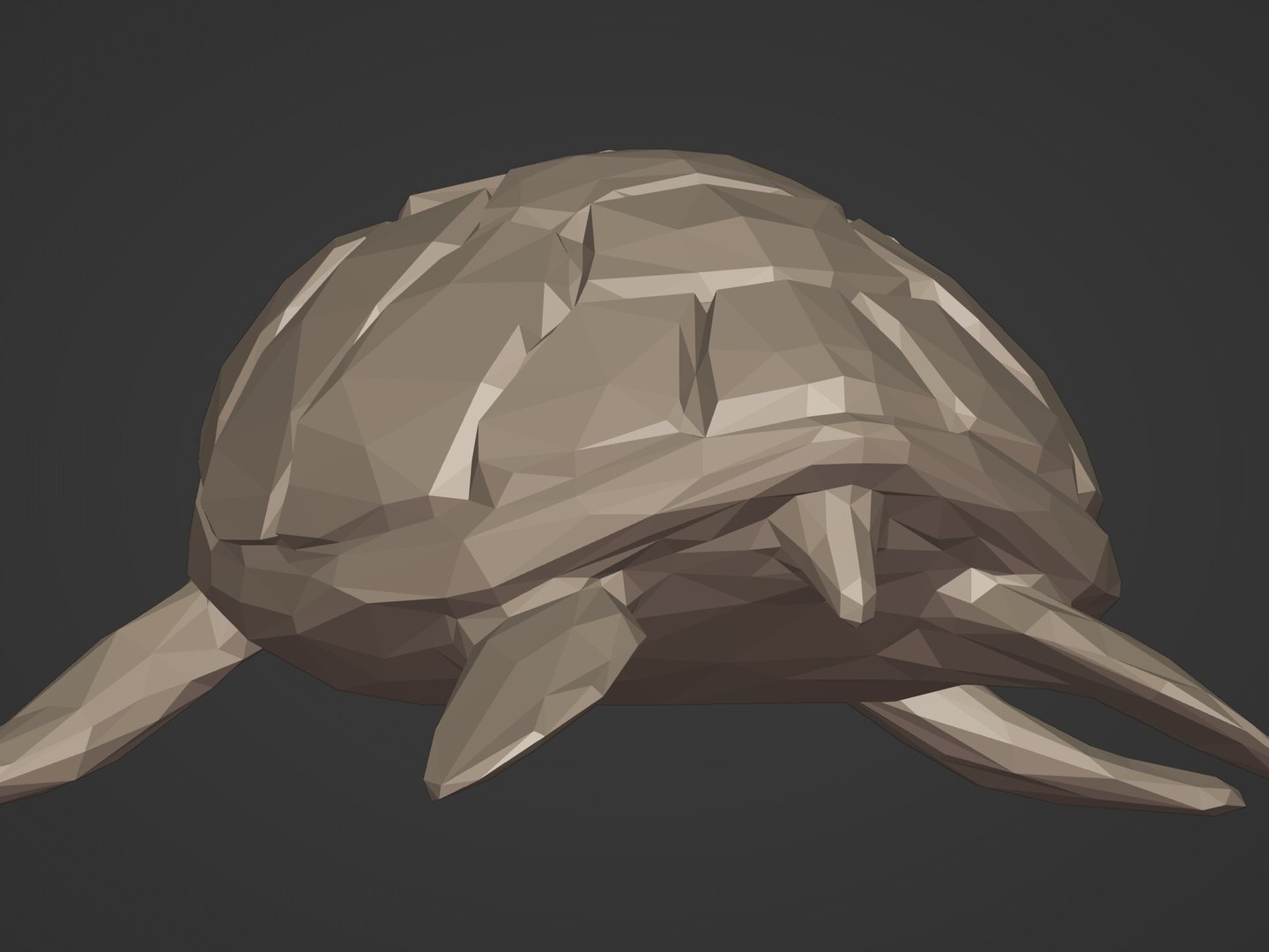 3D Sea Animals - Sea Turtle model https://p.turbosquid.com/ts-thumb/Oa/oqDNuR/Xq/i18/jpg/1780145274/1920x1080/fit_q87/88546eb34eac3adddd18145b79626613821bc9f8/i18.jpg