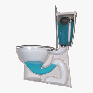 Cutaway Toilet Model