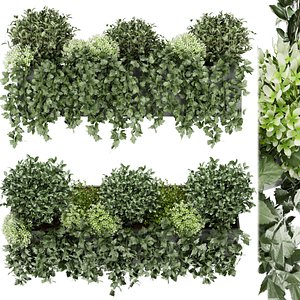 3D Collection plant vol 57 - leaf - outdoor model