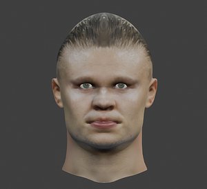 3D Erling haalland Head