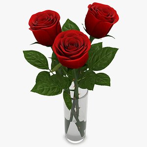 rose red vase 3d max
