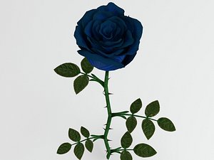 Rose blue