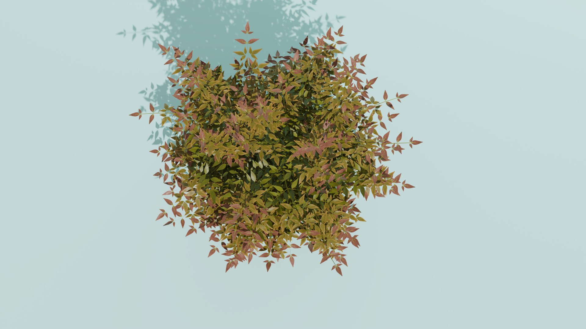 Heavenly Bamboo Nandina domestica 3D model https://p.turbosquid.com/ts-thumb/Ob/fFTDUj/eD/nandinatop/png/1709289813/1920x1080/fit_q87/6859a361f688b84fc9a6a683d7d8e55be78f605a/nandinatop.jpg