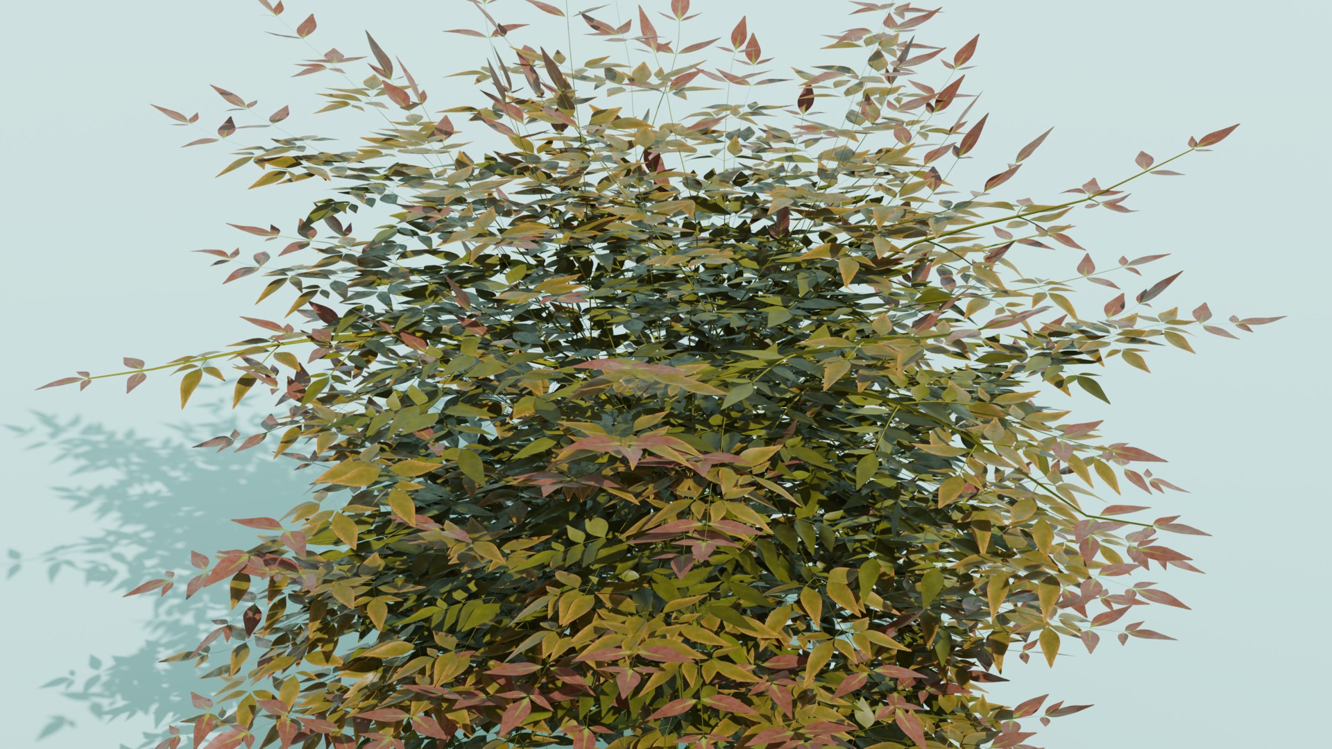 Heavenly Bamboo Nandina domestica 3D model https://p.turbosquid.com/ts-thumb/Ob/fFTDUj/eN/nandinahalf/png/1709289807/1920x1080/fit_q87/5939dd71e83bcc70b062c5e5c4243ef391b011ee/nandinahalf.jpg