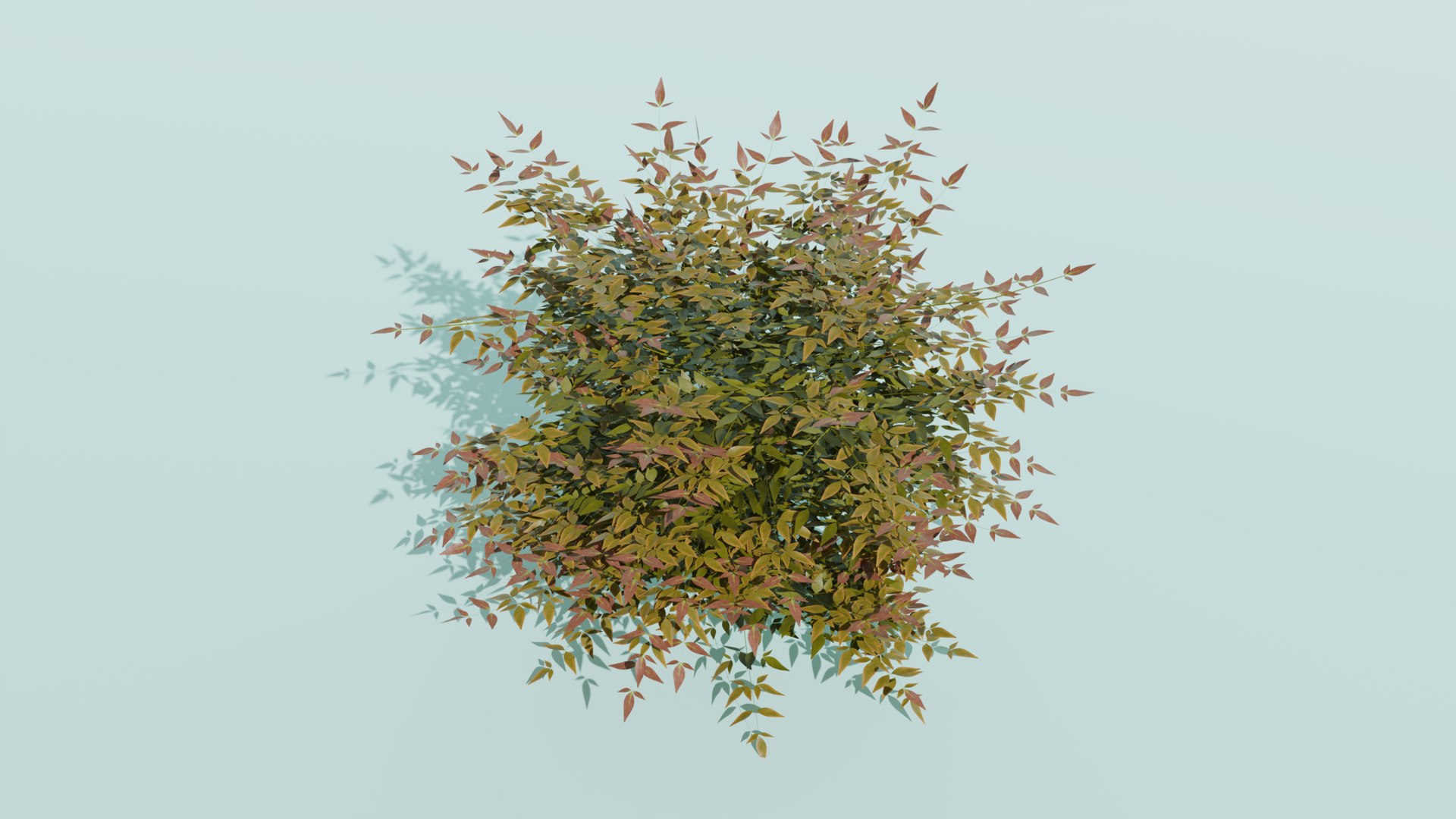 Heavenly Bamboo Nandina domestica 3D model https://p.turbosquid.com/ts-thumb/Ob/fFTDUj/oS/nandinaangle/png/1709289811/1920x1080/fit_q87/405acaeb6fc642446923a0f9a2b741288248a5b0/nandinaangle.jpg