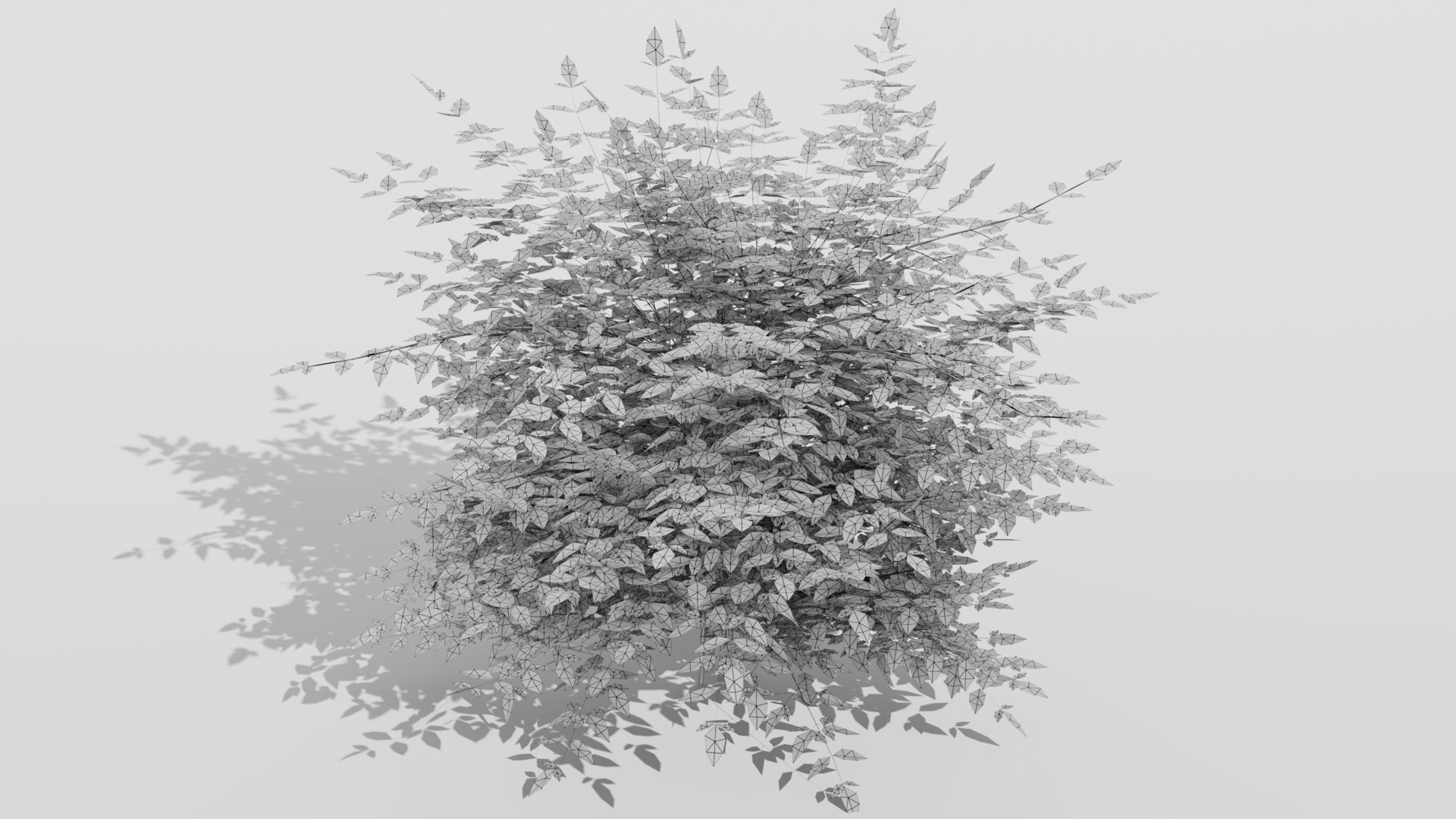 Heavenly Bamboo Nandina domestica 3D model https://p.turbosquid.com/ts-thumb/Ob/fFTDUj/tV/wireframebig/png/1709289944/1920x1080/fit_q87/9721a2351ef57d0ba4b2335428974628fc51d8e6/wireframebig.jpg
