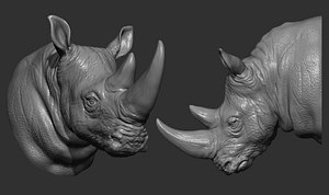 3D model Rhinoceros head