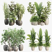 Interior Potted Plants Collection
