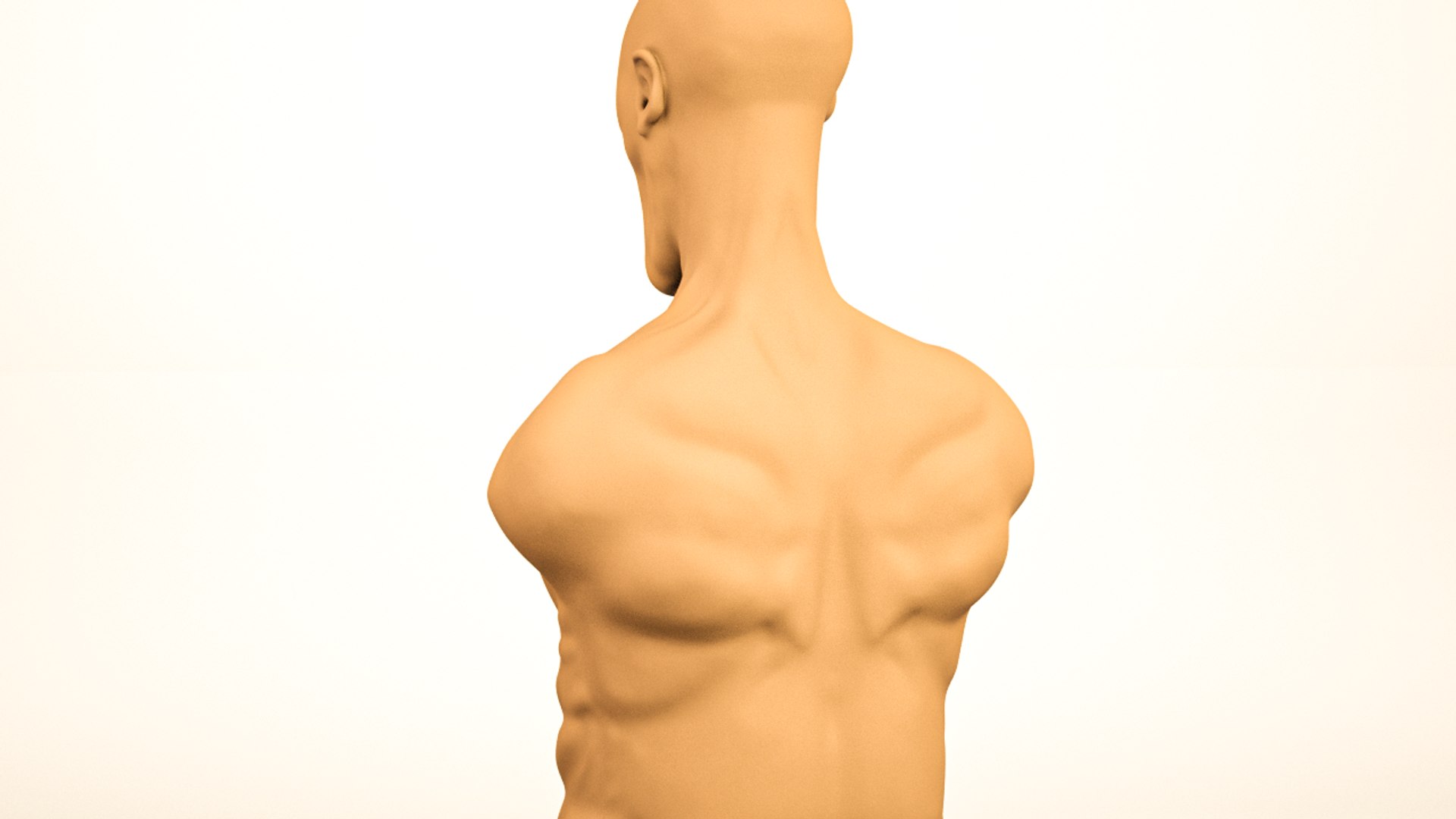 High Poly Character 3D Model - TurboSquid 1755494