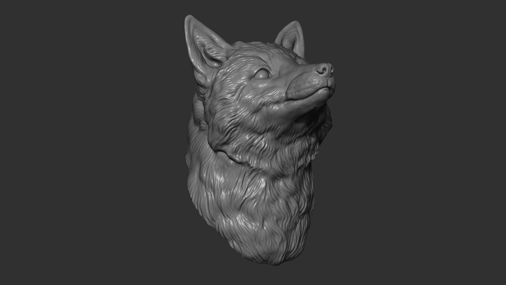 3D Fox head https://p.turbosquid.com/ts-thumb/Oc/3umEbs/Mu/6/jpg/1638290495/1920x1080/fit_q87/12b7ad1699cd37f6f78d0553ef9702bec007f6bc/6.jpg