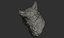 Fox head