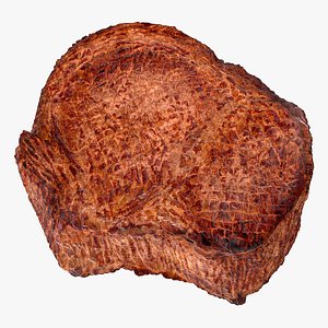 Grilled Rib Steak
