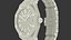 Audemars Piguet Royal Oak Grey White Gold Grande Tapisserie