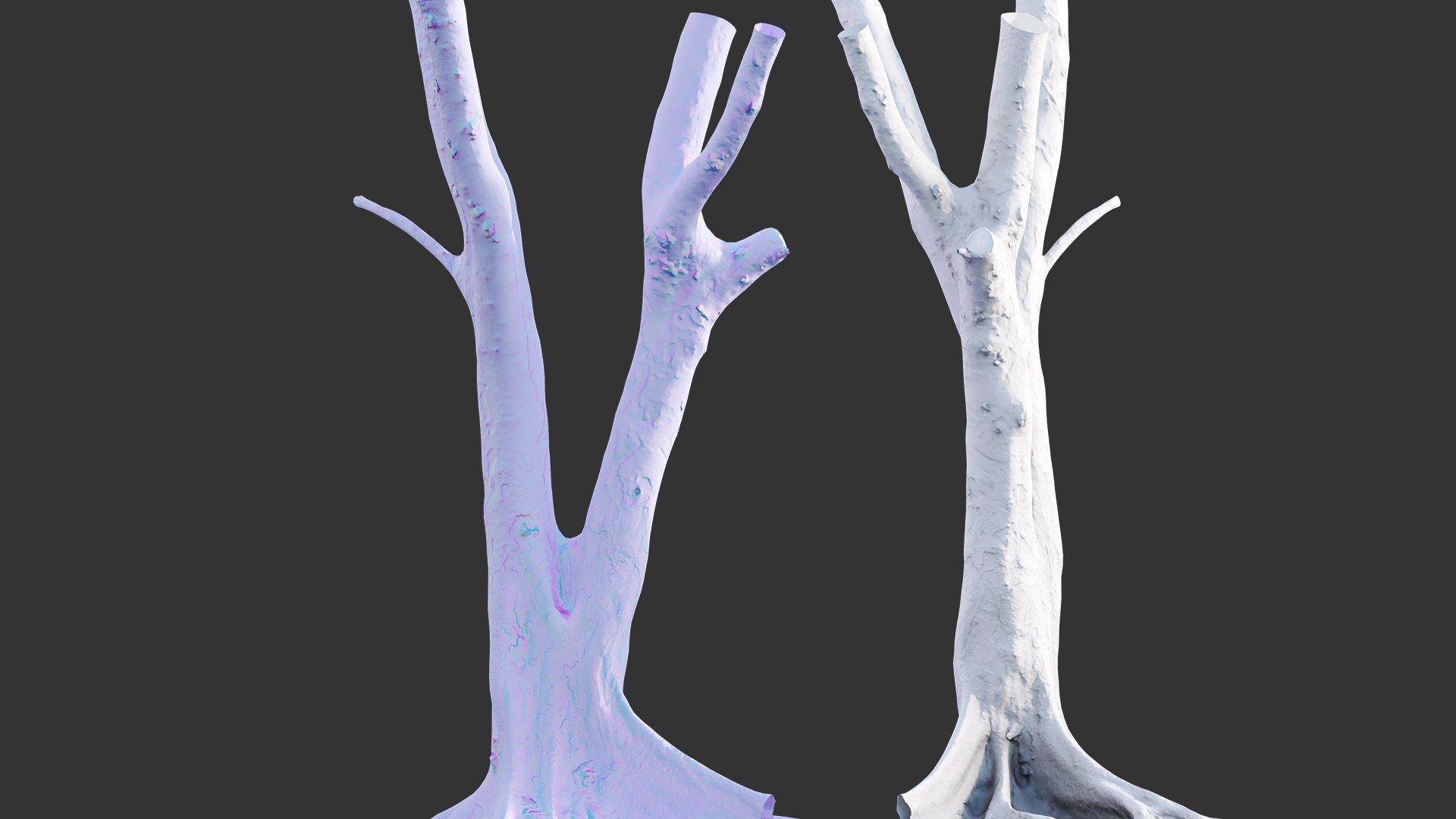Ficus Tree Trunk 13 3D - TurboSquid 2117304