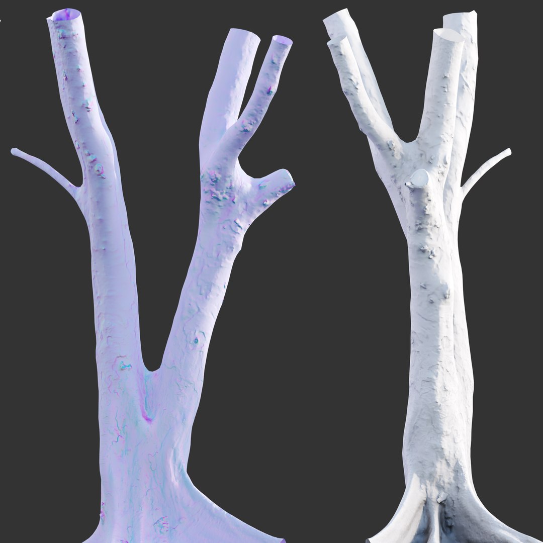 Ficus Tree Trunk 13 3D - TurboSquid 2117304