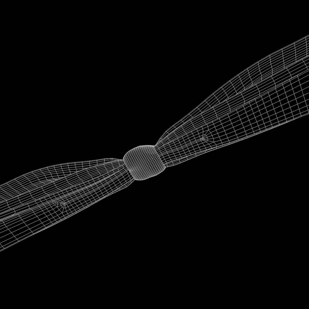 Ribbon Knot 3d Model