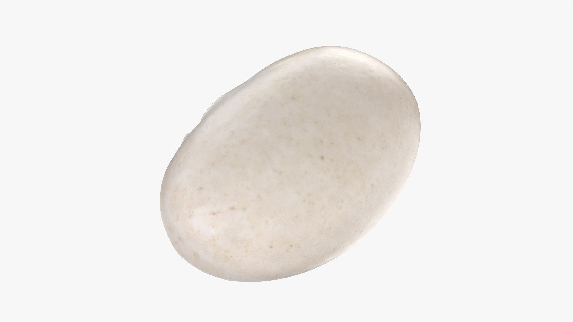 Navy Bean 01 - 3D Scanned 3D model https://p.turbosquid.com/ts-thumb/Oc/agUXev/0U/navybean01_0009/png/1773816090/1920x1080/fit_q87/f705e349d29e24b692a7d8f818e744402be909e6/navybean01_0009.jpg
