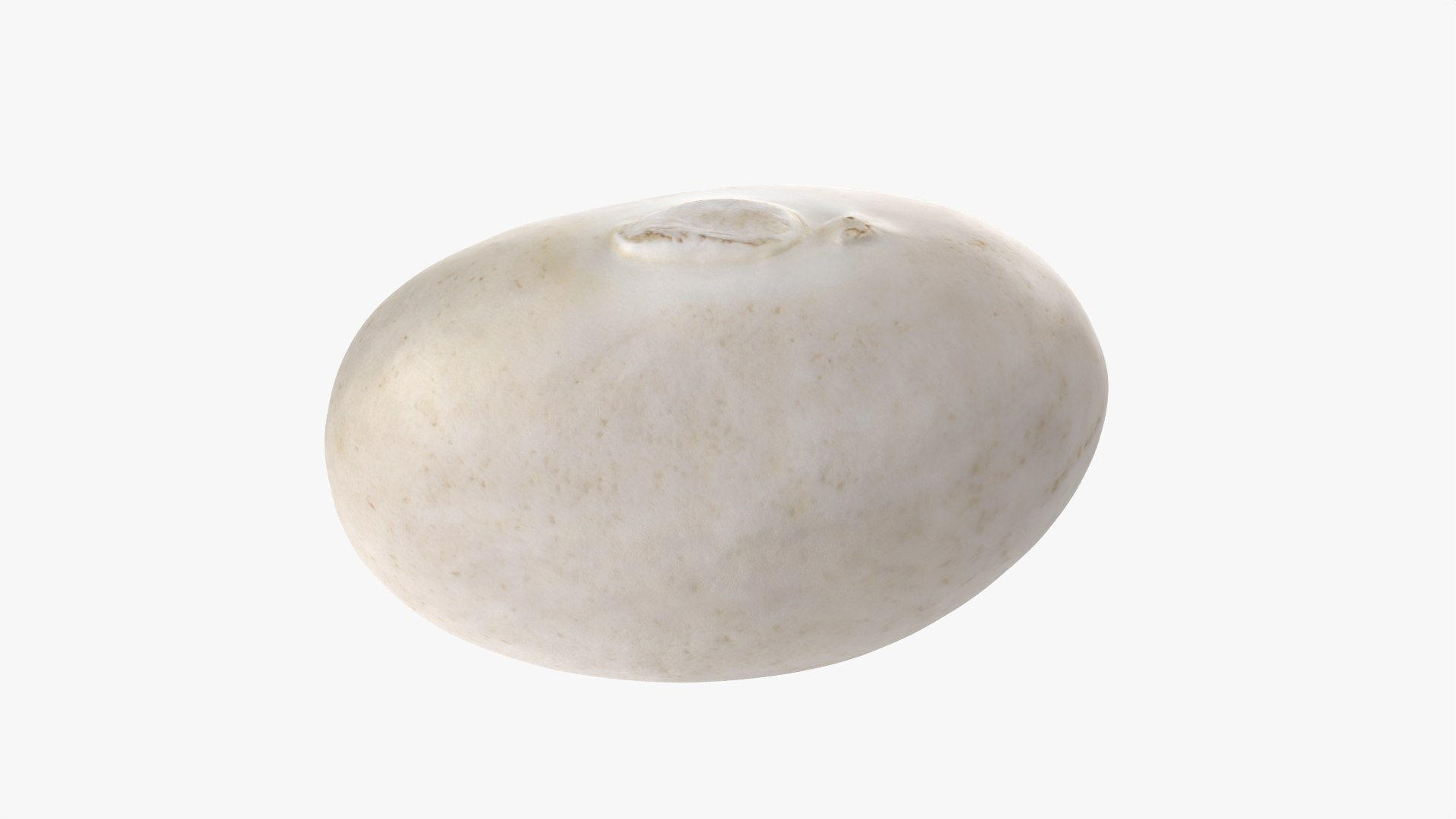 Navy Bean 01 - 3D Scanned 3D model https://p.turbosquid.com/ts-thumb/Oc/agUXev/7R/navybean01_0010/png/1773816091/1920x1080/fit_q87/0502f7313aa1784e8da65adfdaf27625fee89d9d/navybean01_0010.jpg