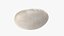 Navy Bean 01 - 3D Scanned