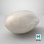 Navy Bean 01 - 3D Scanned