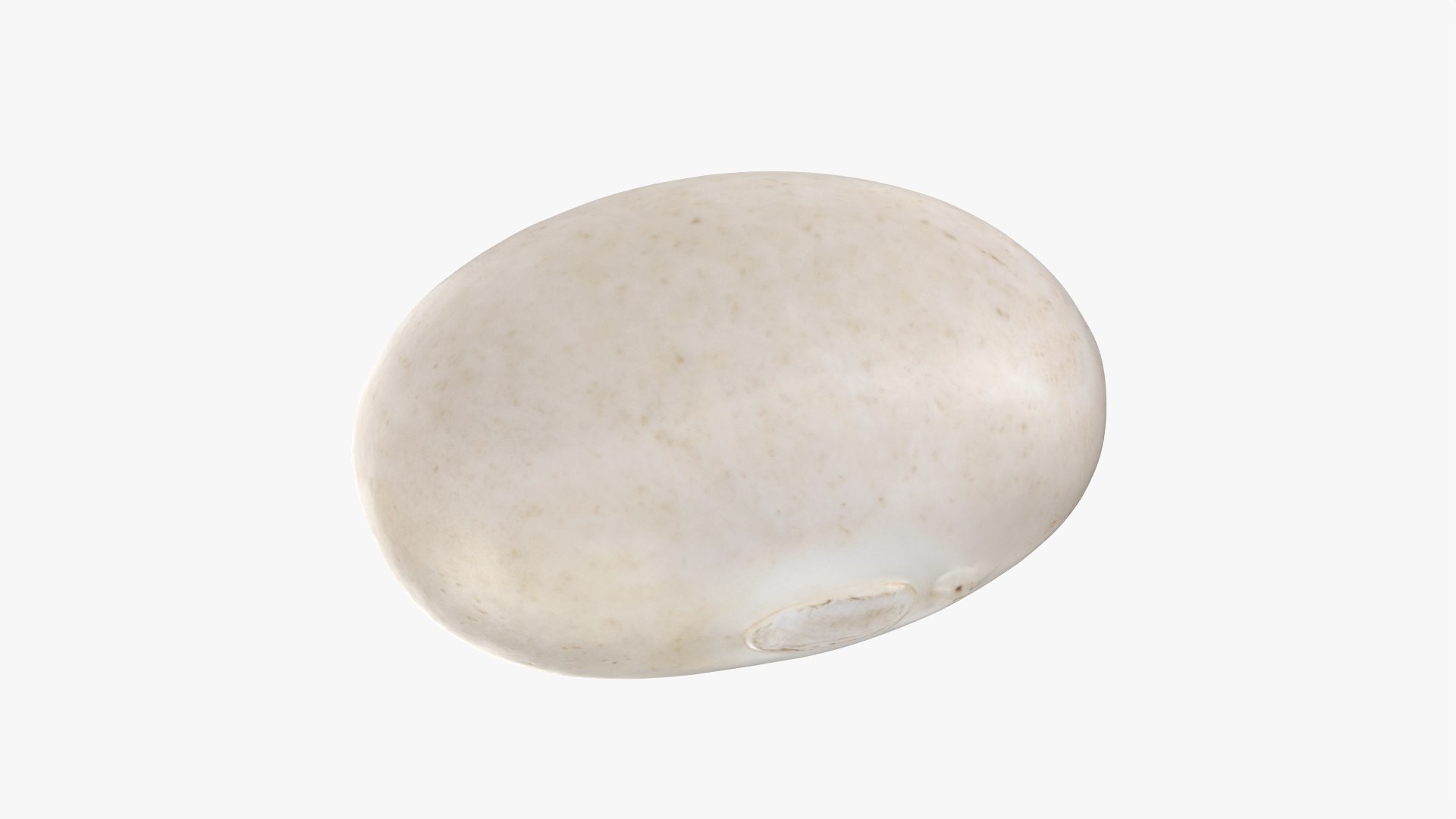 Beans - 3D Scanned Collection 3D model https://p.turbosquid.com/ts-thumb/Oc/agUXev/HF/navybean01_0001/png/1787625439/1920x1080/fit_q87/5b82bb1a540a8c650e7f9c46d31fcee8d82742c6/navybean01_0001.jpg