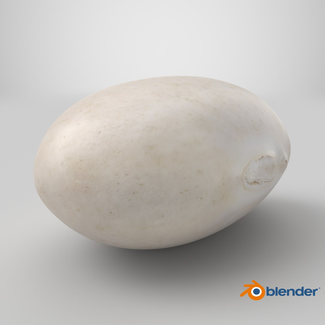 Navy Bean 01 - 3D Scanned 3D model https://p.turbosquid.com/ts-thumb/Oc/agUXev/am/stemcell_blender_cycles_render/png/1774373841/1920x1080/fit_q87/4615a0a3c0c8840223d0a3278065d3917291372e/stemcell_blender_cycles_render.jpg