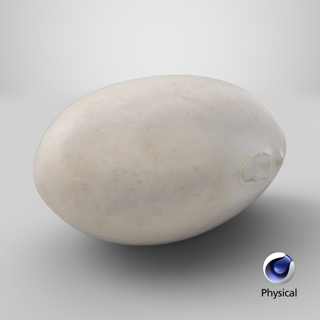 Navy Bean 01 - 3D Scanned 3D model https://p.turbosquid.com/ts-thumb/Oc/agUXev/ar/stemcell_cinema_4d_physical_render/png/1774373850/1920x1080/fit_q87/711ee07e808c4a8f86366b0ca6cb8e0c4d7cac77/stemcell_cinema_4d_physical_render.jpg