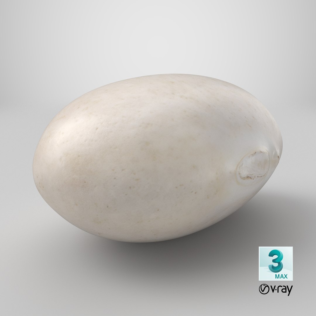 Navy Bean 01 - 3D Scanned 3D model https://p.turbosquid.com/ts-thumb/Oc/agUXev/jc/stemcell_max_vray_render/png/1774373851/1920x1080/fit_q87/06e9a01107e9bb7674fc792d254aa5aa2aa48a42/stemcell_max_vray_render.jpg