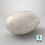 Navy Bean 01 - 3D Scanned