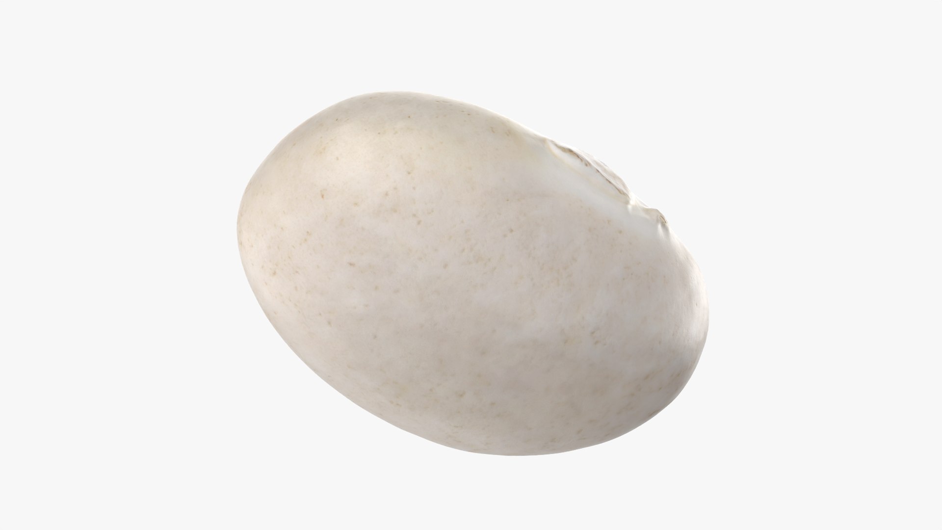 Navy Bean 01 - 3D Scanned 3D model https://p.turbosquid.com/ts-thumb/Oc/agUXev/vx/navybean01_0012/png/1773816094/1920x1080/fit_q87/a084200ae5569078c9b70100130eaab6befe338e/navybean01_0012.jpg