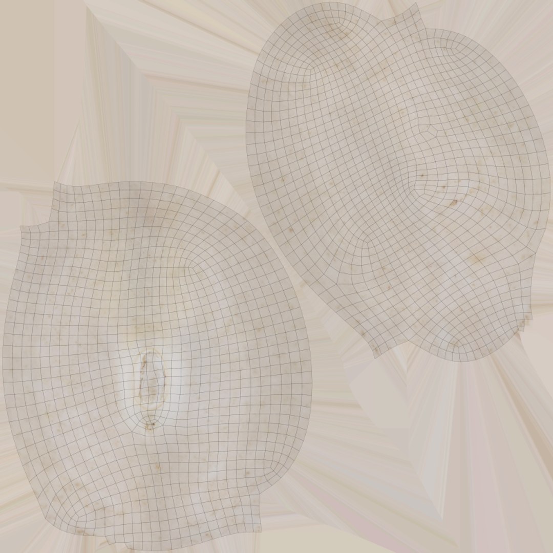 Navy Bean 01 - 3D Scanned 3D model https://p.turbosquid.com/ts-thumb/Oc/agUXev/wT/navybean01_e0004/png/1773816096/1920x1080/fit_q87/39caa978bbf39d7519d4eee2950b7d670ef2a4c1/navybean01_e0004.jpg
