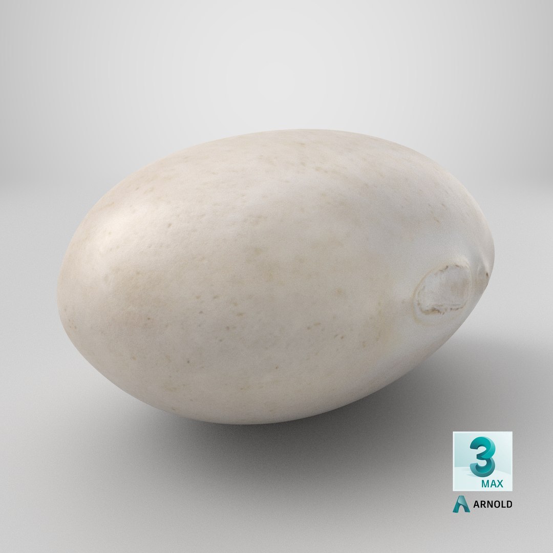 Navy Bean 01 - 3D Scanned 3D model https://p.turbosquid.com/ts-thumb/Oc/agUXev/xC/stemcell_max_arnold_render/png/1774373853/1920x1080/fit_q87/12c54887a160012e45a9222eb61bba2d628ab361/stemcell_max_arnold_render.jpg