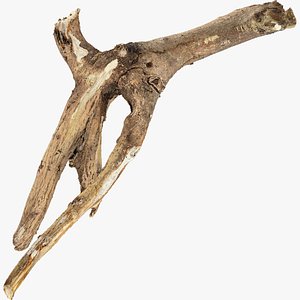 3D Tree branch 3d scan