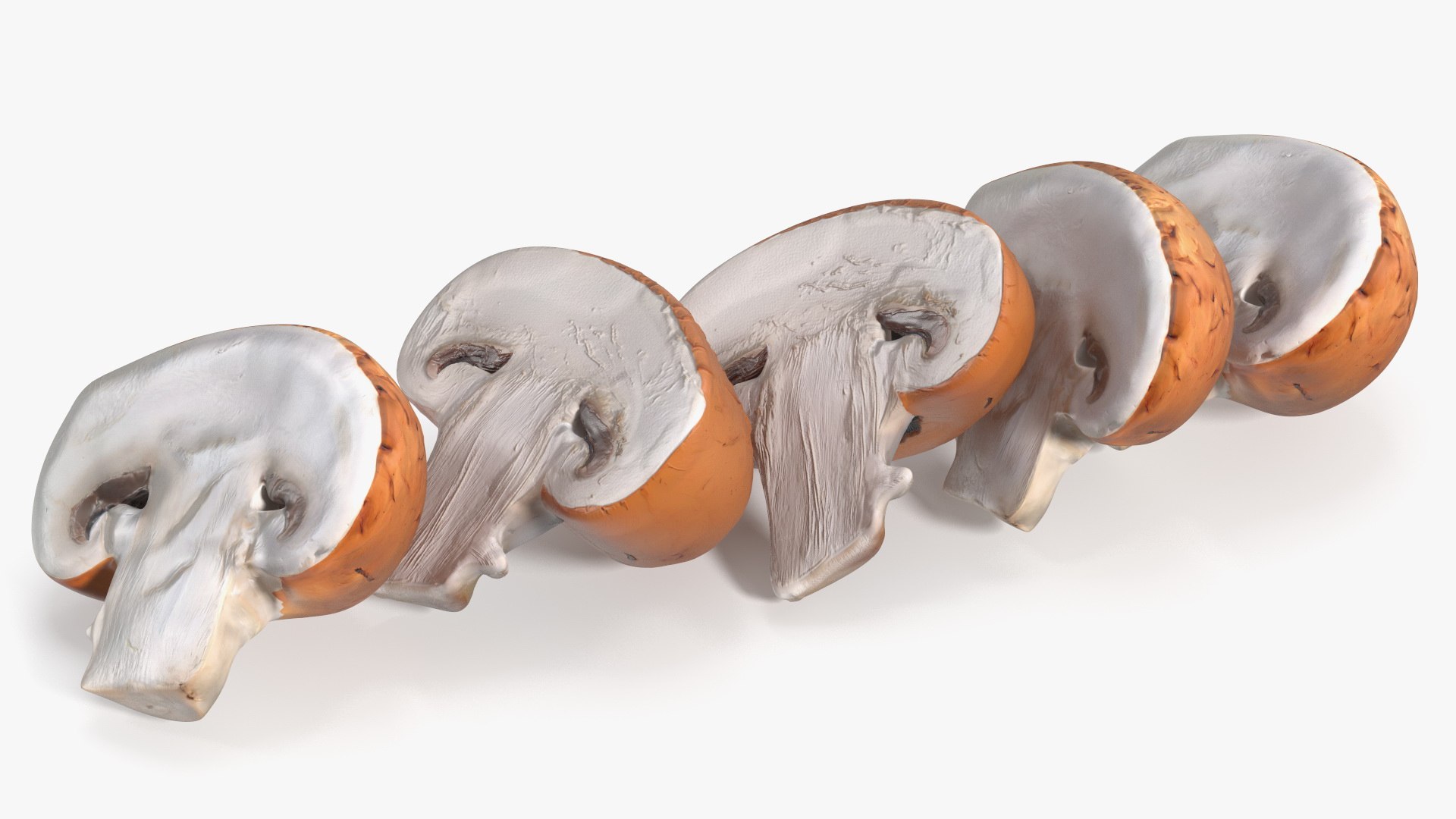 Brown Champignon Halves 3D model preview
