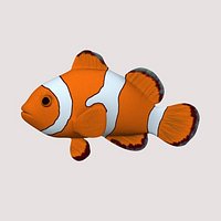 anemonefish
