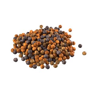 Mustard seed pile model