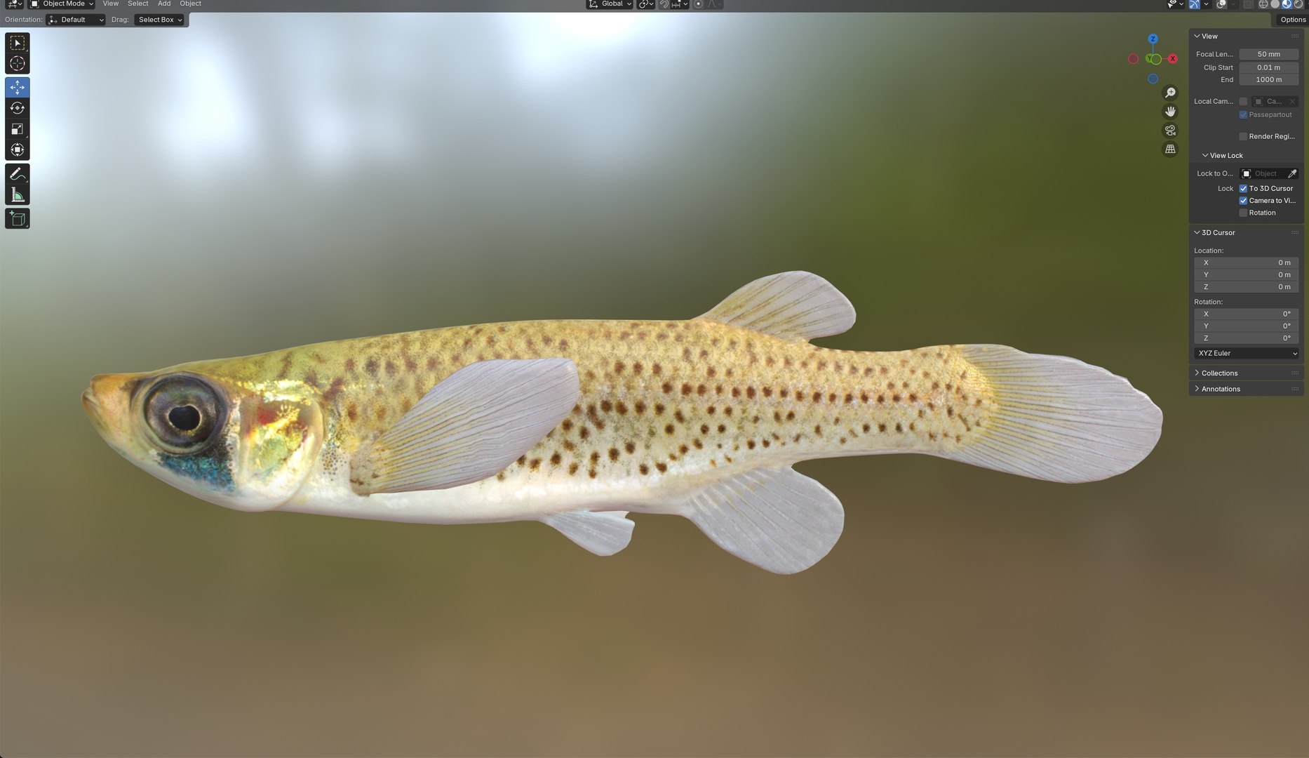 Western Starhead Topminnow fish 3D model https://p.turbosquid.com/ts-thumb/Oc/mMXRxG/91/6/jpg/1768032197/1920x1080/fit_q87/3044f80b6394d85d533e52c1a0574d14c8242e7d/6.jpg