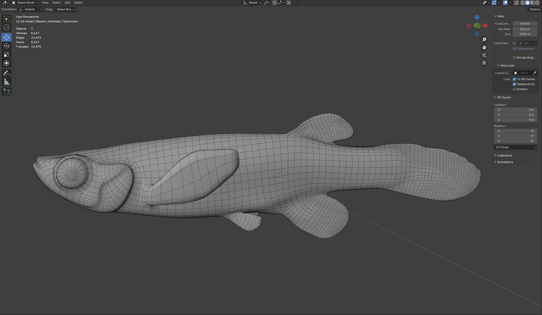 Western Starhead Topminnow fish 3D model https://p.turbosquid.com/ts-thumb/Oc/mMXRxG/kv/wire/jpg/1768032193/1920x1080/fit_q87/716c1a366215c6851b0fb023bddd46202d5d08e1/wire.jpg