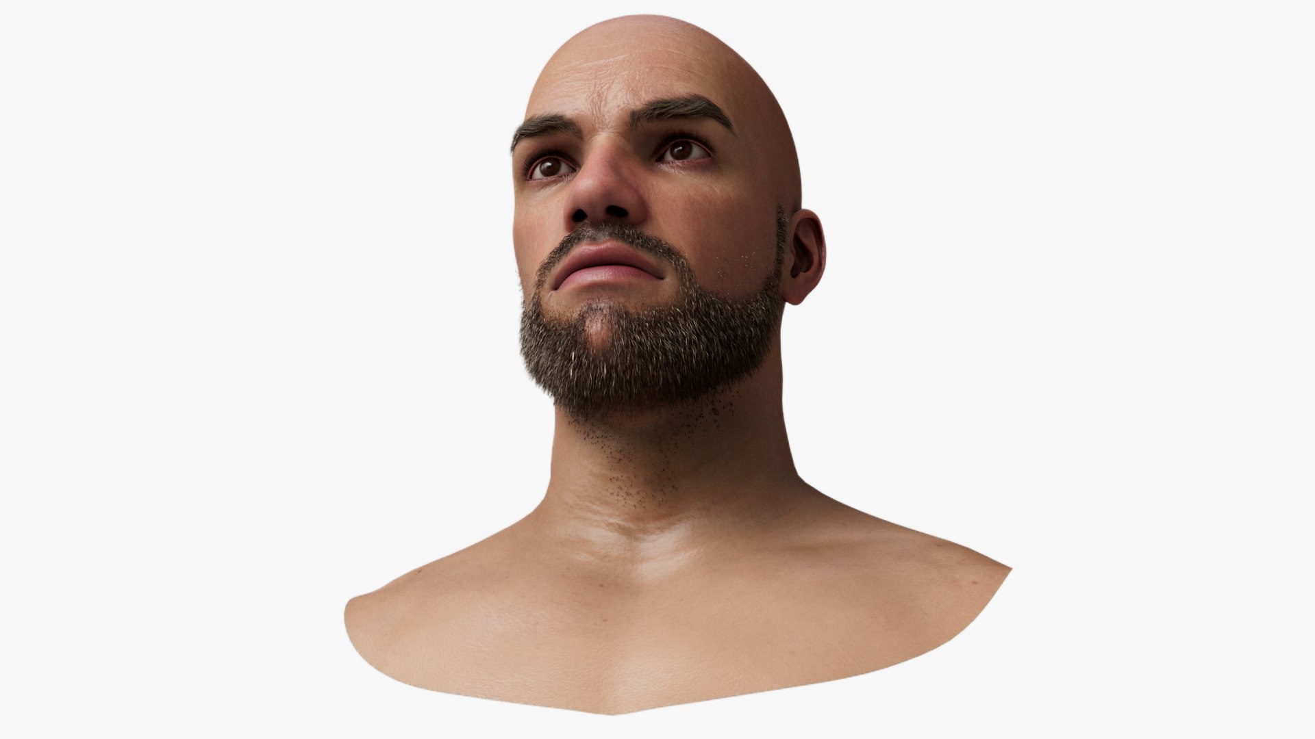 Male Head Mesh Metahuman Unreal Topology Man Head Mesh V1 3D Model ...