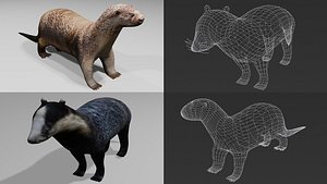 2xPack Otter and Badger Obj and Blend