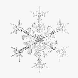 Snowflake 4