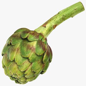 Artichoke with Stem - Raw Scan