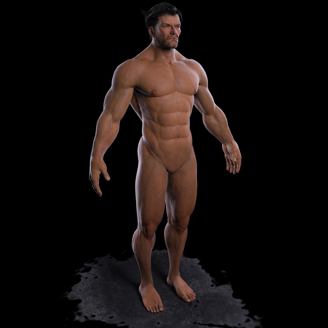 3d model realistic wolverine - https://p.turbosquid.com/ts-thumb/Od/AdKa11/6d9B8C0J/wolverine_body_color30/jpg/1323633032/1920x1080/fit_q87/fbb5362103c5aff84acda40ba4e0585bf7d4cc16/wolverine_body_color30.jpg
