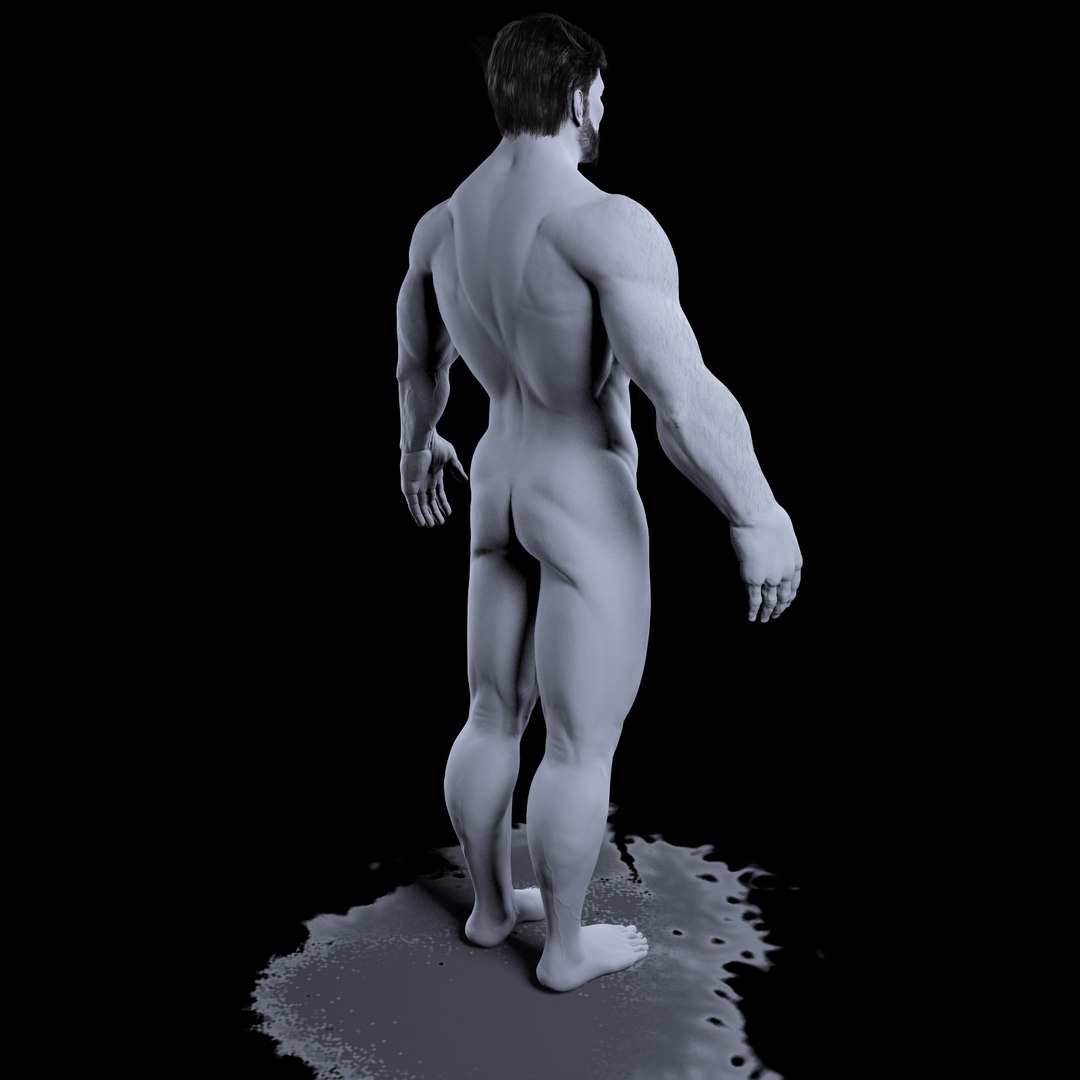 3d model realistic wolverine - https://p.turbosquid.com/ts-thumb/Od/AdKa11/WGy8QiLL/wolverine_body_gray21/jpg/1323633630/1920x1080/fit_q87/bb057e3b889ff3775a209e6a6e71b4a8af60f8d2/wolverine_body_gray21.jpg