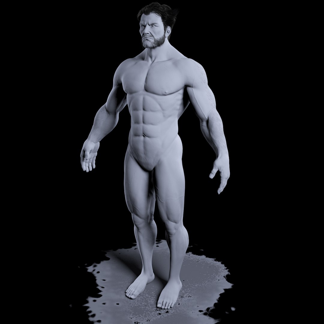 3d model realistic wolverine - https://p.turbosquid.com/ts-thumb/Od/AdKa11/eWcemy1R/wolverine_body_gray06/jpg/1323633630/1920x1080/fit_q87/95cb024ebef7210f7856350fb721db18716d01eb/wolverine_body_gray06.jpg